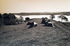 Ringwall