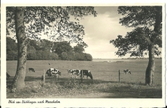 Blick von Buckhagen nach Maasholm Blick von Buckhagen nach Maasholm