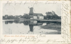 Arnis1902