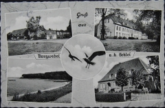 Borgwedel1962