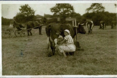 Fahrdorf 1933