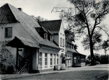HaddebyKaefer