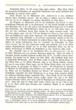 Lusbusch