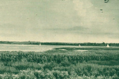 Moeweninsel