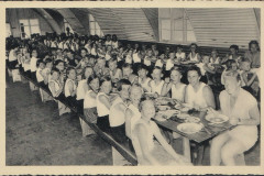 Selk  1958