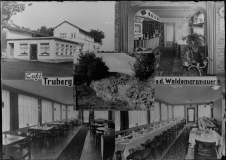 Truberg1 Truberg1