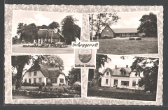 scheggerott