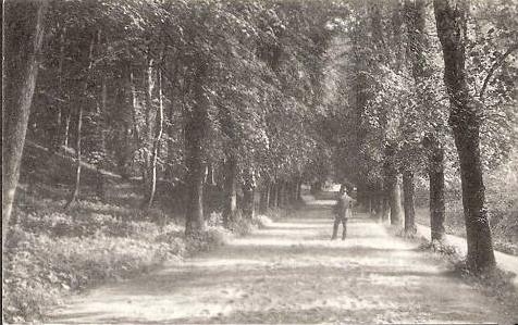 tiergarten-reitallee1910