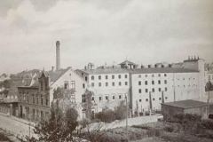 Rasch, 1903