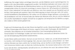 Gallbergschule, Text