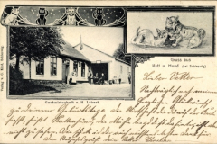 Katt un Hund, 1905