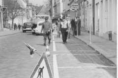 Lollfuss 1978