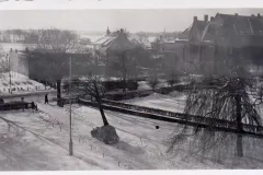 Schlei, Domschule Schlei, Domschule
