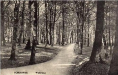 waldweg1914