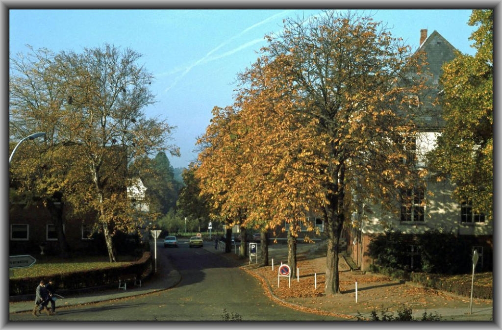 Flensburger Straße, Windallee, Kreisverwaltung