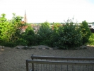 wilhelminenschule