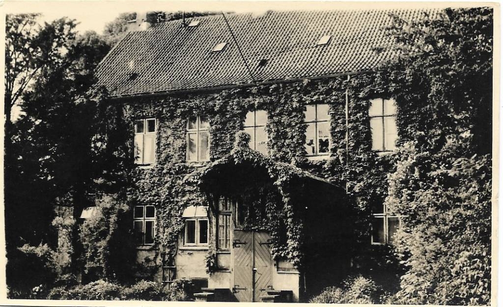 Amtshaus mit Efeu, 1953