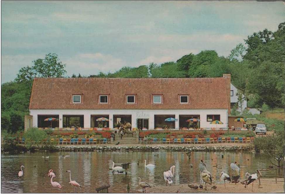 cafe-eden-1962
