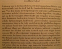 hoeheretoechter1