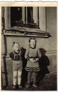 dreikronen dreikronen