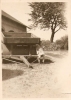 wamser